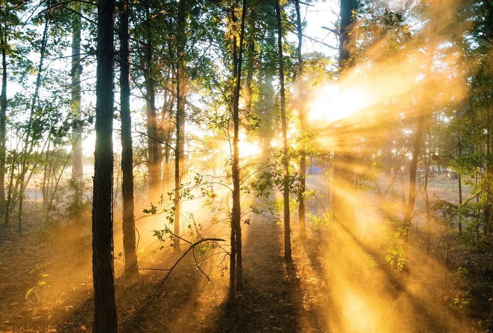 John Edward Nalley, May 24, 1971~October 8, 2021